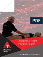 Anatomy Trains Pocket Guide v2