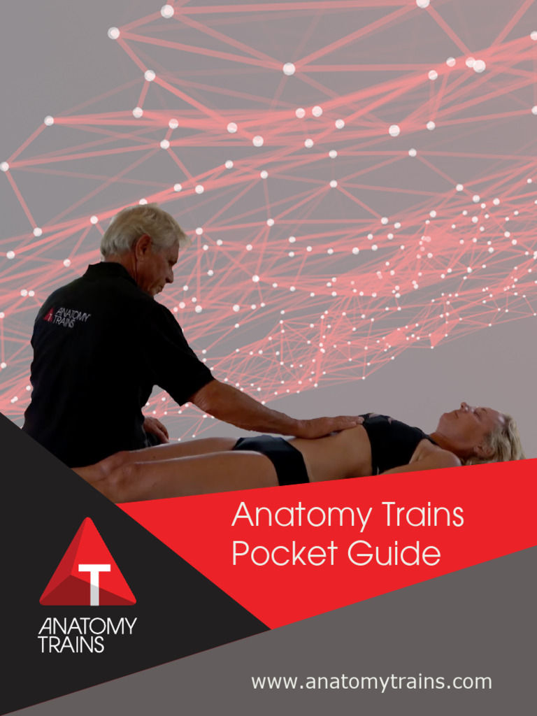 ANATOMY TRAINS PDF visual data 2