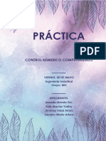 Cycle 95 Practica 1