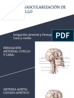 Vascularización Cara y Cuello