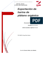 Exportacion de Harina de Platano Final