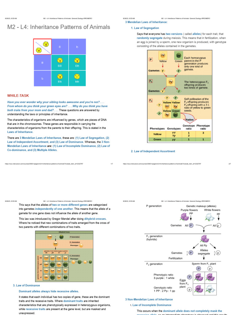 Inheritance Patterns in Animals | PDF | Dominance (Genetics) | Genetics