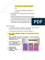 Histologia de Músculo Hueso y Cartilago I