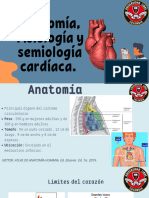 Anatomía, Fisiología y Semiología