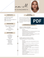 Curriculum Curriculo CV Profesional Minimalista Beige