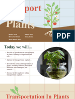 TRANSPORT in PLANTS