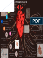 Electrocardiograma I Mapa Mental