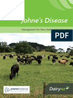 Animal Johnes Disease Management