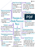 02 - Mapa-Mental-Principios-Do-Direito-Processual-Penal