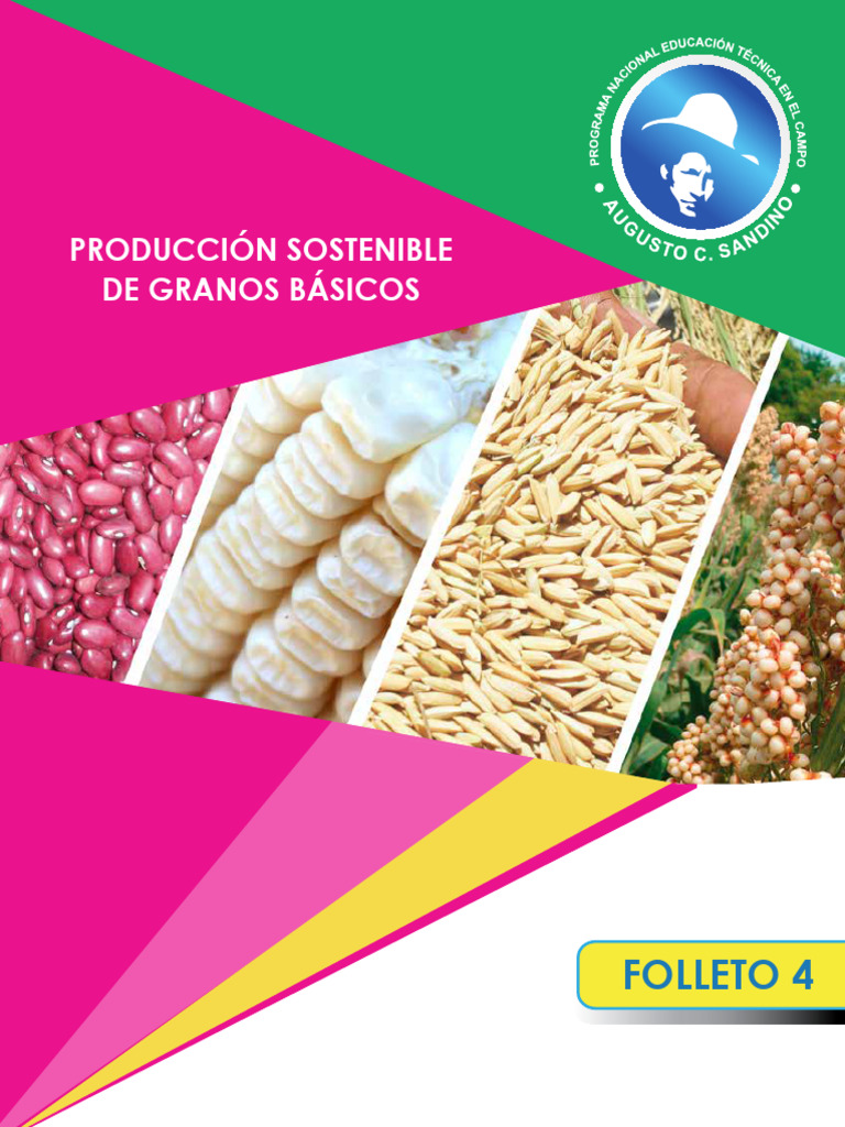 Producción Sostenible de Granos Básicos | PDF | Agricultura | Plaga ...