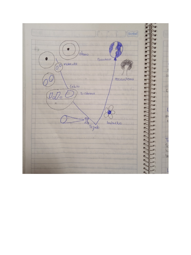 PEDRO | PDF