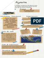 Colorido Álbum de Recortes Fracciones Decimales y Porcentajes Infografía 2