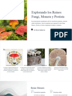 Explorando-los-Reinos-Fungi-Monera-y-Protista (1)