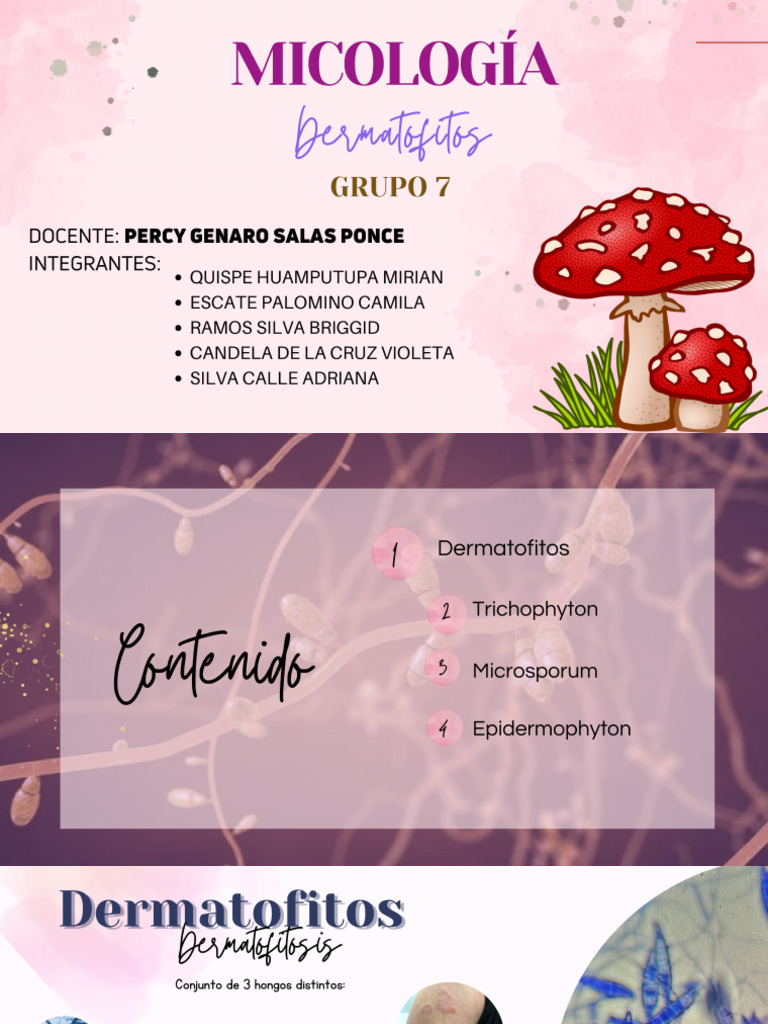 MICOLOGÍA Grupo 7 PDF