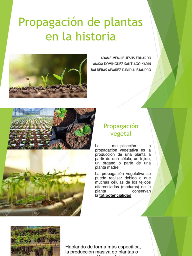 Propagación de Plantas | PDF | Botánica | Plantas