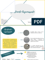 Mapa Mental Argamassa