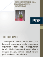 PP Hidroponik Sistrem Sumbu p5 23