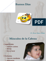 Copia de 13. (PPT) Miología - Cabeza y Cuello