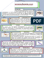 Infografia Biomoleculas