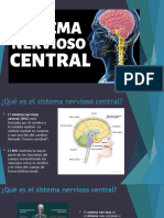 Sistema Central Nervioso