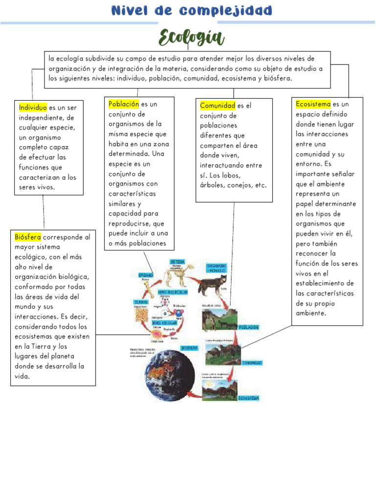 Niveles de Organización Ecológica | PDF | Ecología | Ecosistema