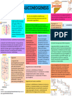 GLUCOGENOGENESIS