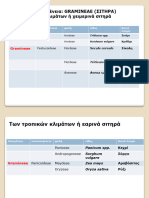 006α. ΣΙΤΑΡΙ-Μορφολογικά Γνωρίσματα