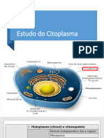 Citologia - Citoplasma