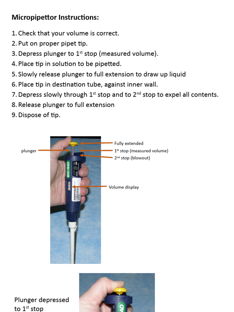 1 Pipetting Lab Directions Examples PDF Volume Laboratory Equipment