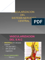 5ta Sesión - Vascularización Del SNC