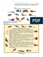 Ficha - Plan Lector 29 de Setiembre Del 2021