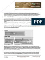 La Co-Evolución de Genes y Cultura (Lactasa)