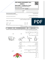 Final Paper MCQs - PEC Item Bank System