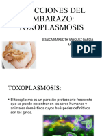 Infecciones Del Embarazo Exposicion