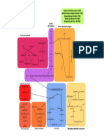 Mapa Metabólico