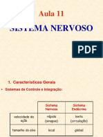 11 - Sistema Nervoso