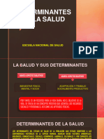 Determinantes de La Salud - 230412 - 154322