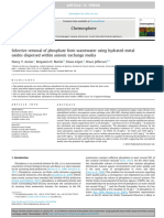 Selective Removal of Phosphate From Waste Water Treatment