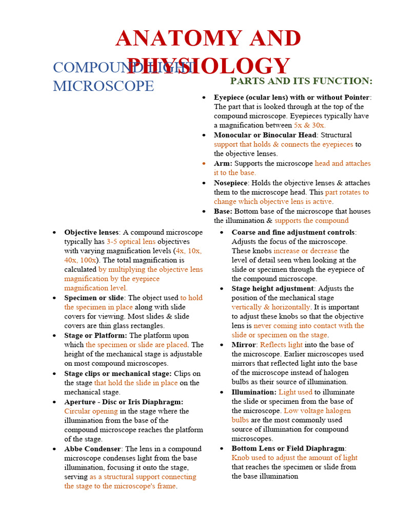 Compound Light Microscope PDF Cell (Biology) Prokaryote
