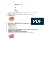 Quiz Sistem Reproduksi Laki