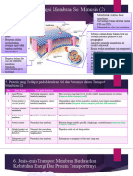 Biologi Sel