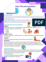 Sistema Musculoesquelético.