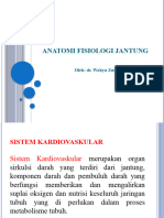 ANATOMI FISIOLOGI JANTUNG (Pertemuan 1)