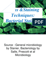 Bacterial Staining MCBG P1 T