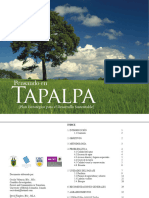 Pensando en Tapalpa