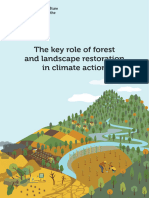 The Key Role of Forest and Landscape Restoration in Climate Action
