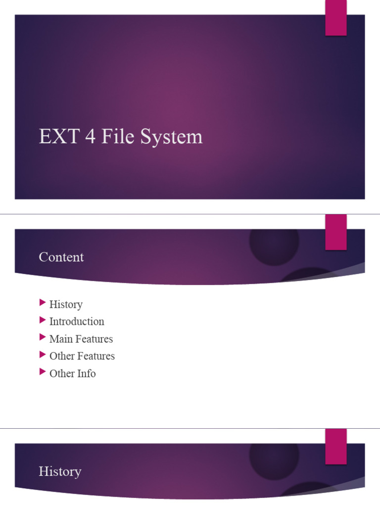 EXT4 File System PDF