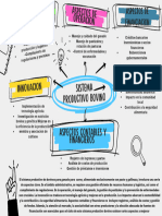 Colorful Illustrative Concept Map Graph