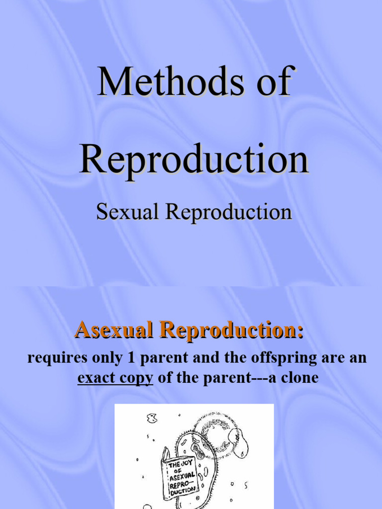 Asexual vs. Sexual Reproduction Methods | PDF | Sexual Reproduction ...