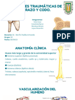 Lesiones Traumáticas de Brazo y Codos en Ninos y Adultos.